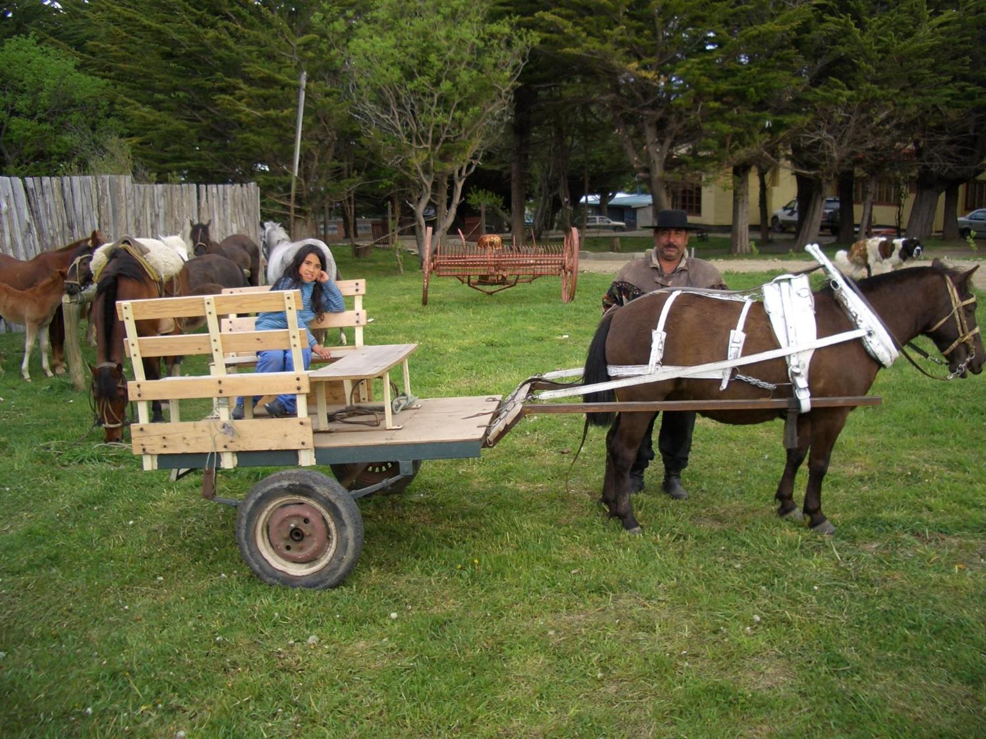 Estancia Rio De Los Ciervos Punta Arenas Eksteriør bilde