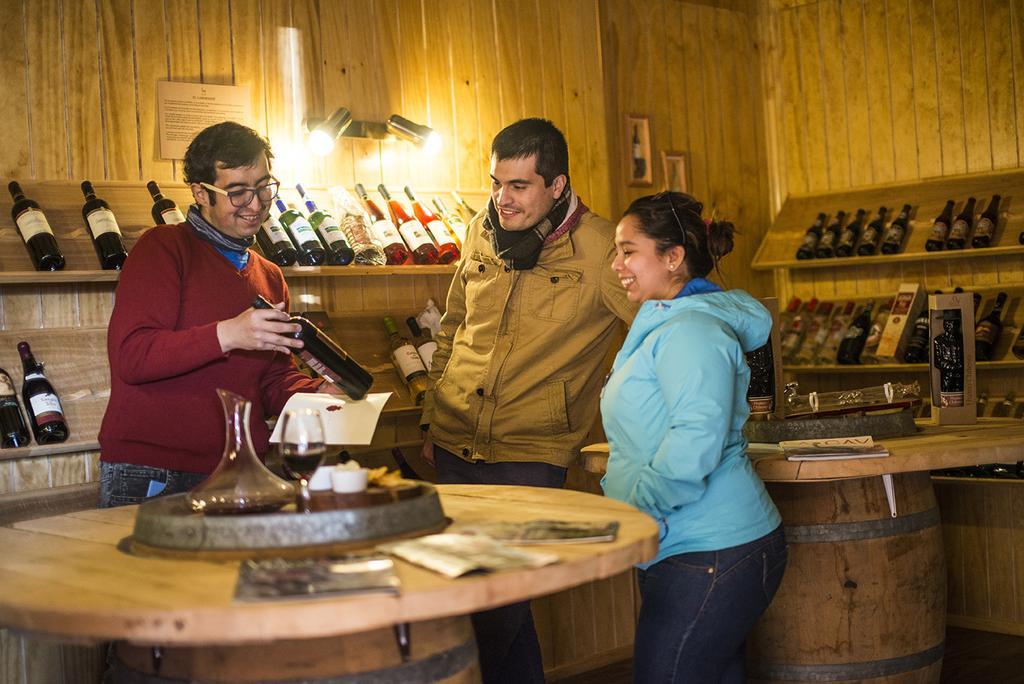 Estancia Rio De Los Ciervos Punta Arenas Eksteriør bilde